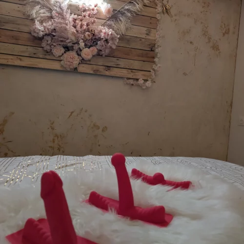 PXL_20260128_175019623.RAW-01.COVER